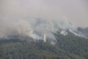 Adana’daki orman yangını sürüyor