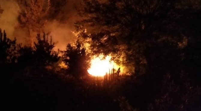 Adana’daki orman yangını sürüyor