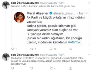 TEDAŞ Daire Başkanı'ndan skandal Akşener paylaşımları:Bu kadın müfteri,yalancı
