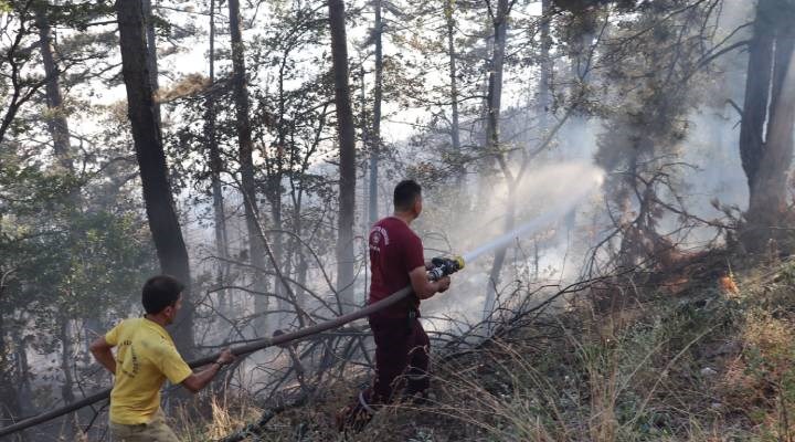 Zonguldak'ın Devrek ilçesinde ormanlık alanda yangın çıktı.