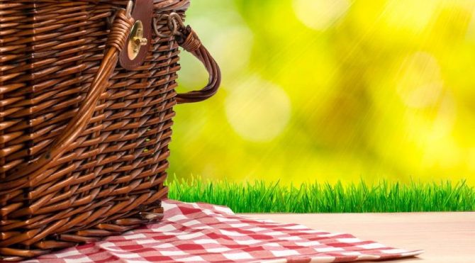 Erzincan’da piknik yapmak yasaklandı!