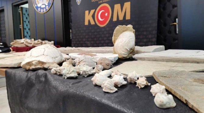 Adnan Oktar’ın kaçak yollardan elde ettiği fosiller müzeye teslim edildi 