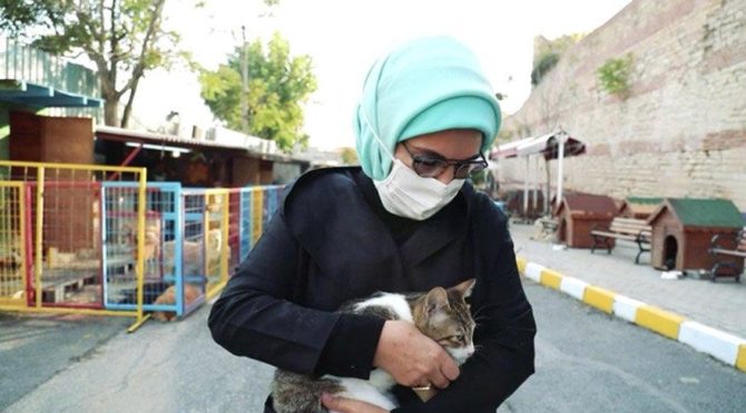 Emine Erdoğan’dan ‘hayvan hakları’ mesajı: Vicdanları rahatlatacak yasa bir an önce çıkmalı