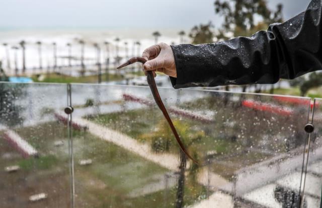 Antalya'da inanılmaz görüntü: Denizdeki balık fırtınanın etkisiyle 60 metre uzaklıktaki evin balkonuna uçtu