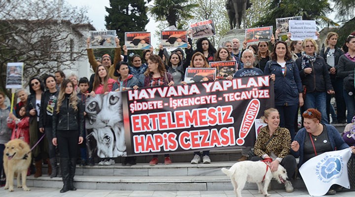 Barolardan hayvan hakları kanunu çağrısı:Avcılık ve av turizmi tamamen yasaklanmalı.