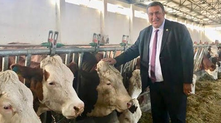 CHP'li Gürer: TİGEM’deki hayvan hastalıkları neden önlenemiyor?