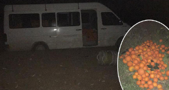Adana'da 5 ton portakalı minibüse yükleyip çalmaya kalktılar