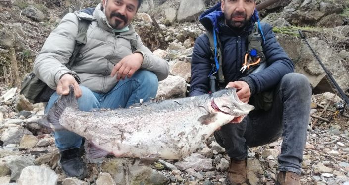 Türkiye'nin en büyük alabalığı Elazığ'da yakalandı