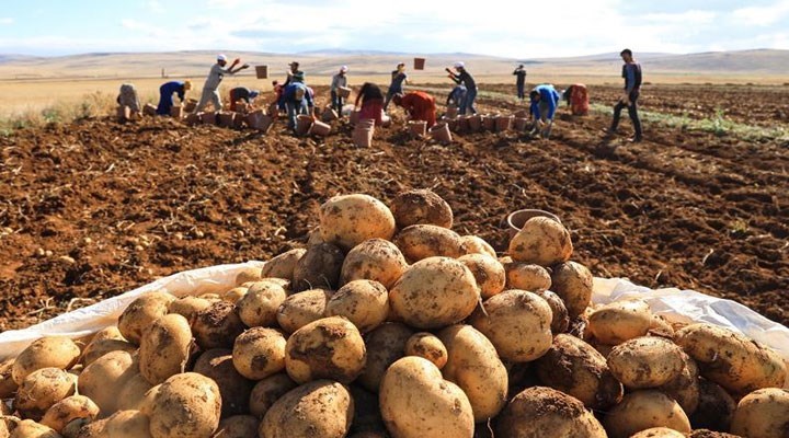 CHP Niğde İl Başkan Erhan Ademı: Muhalif çiftçilerin patatesleri alınmıyor