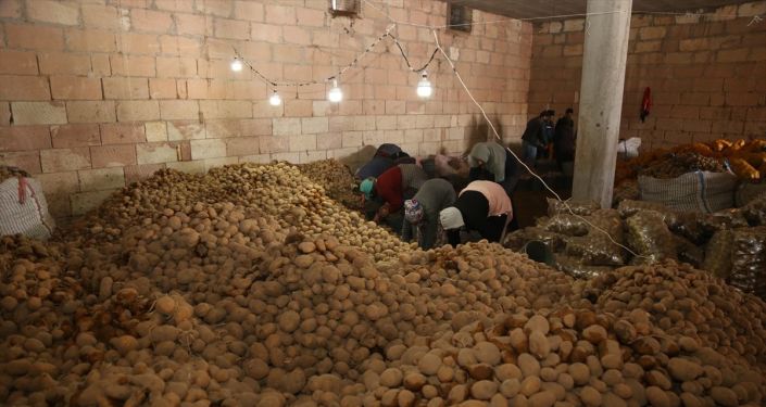 Şanlıurfa Valiliği'nden patates dağıtımında yaşanan yoğunlukla ilgili açıklama