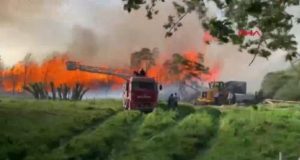 Afyon'da Biyokütle Enerji Santrali'nde yangın