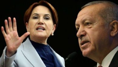Erdoğan’dan Meral Akşener’e 250 bin liralık tazminat davası
