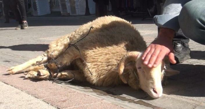 Esnaf, salgının bitmesi için kurban kesip dualar etti