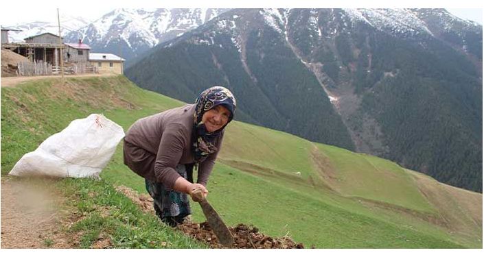 İkizdere'de 15 gün süreyle gösteri, yürüyüş ve basın açıklaması yapılması yasaklandı