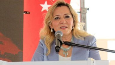 İYİ Partili vekil Aylin Cesur’dan Derya Yanık’a ‘tolere edilebilir’ tepkisi