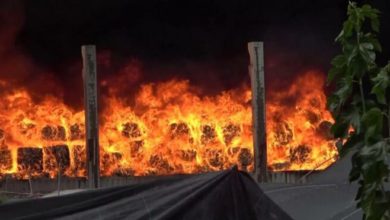 Adana'da plastik geri dönüşüm fabrikasından yangın