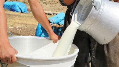 Çiğ süt fiyatlarına tepki : “Bu fiyata ne üretim yapılabilir ne de tüketici süt alabilir”