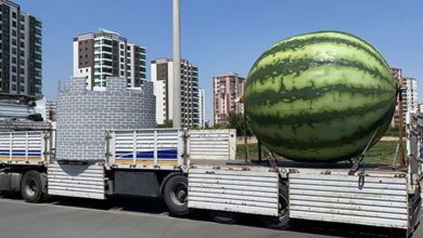 Diyarbakır'da tepki çeken heykellere iki yeni figür daha eklendi