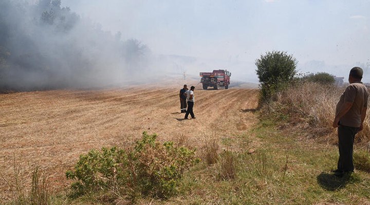 Orman yangınına neden olan şahsa 155 bin lira tazminat cezası