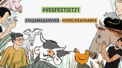 Uluslararası vegan festivali 3-4 Temmuz’da zoom'da