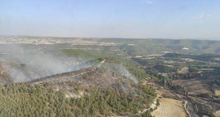 Manisa Demirci'de orman yangını: 15 hektarlık alan zarar gördü