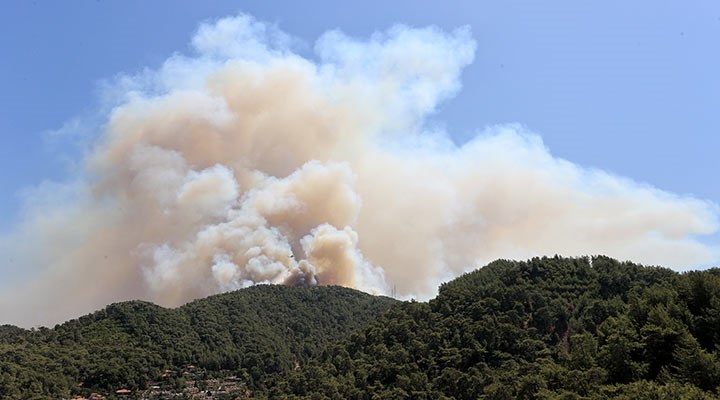Orman Genel Müdürlüğü: 79 yangından 66’sının kontrol altına alındığını bildirdi