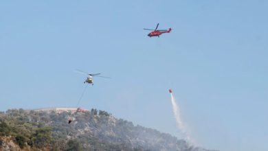 ABD, iki yangın söndürme helikopteri yollayacağını açıkladı
