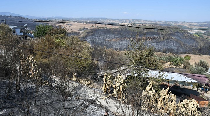 Adana Kozan'daki orman yangını kontrol altına alındı