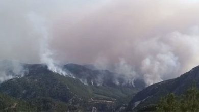 Akseki'deki orman yangınıyla ilgili bir kişi tutuklandı