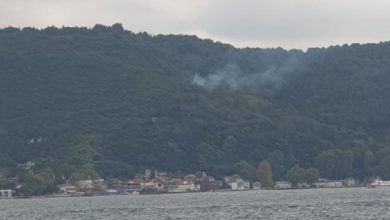 Beykoz'da orman yangını çıktı