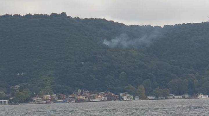 Beykoz'da orman yangını çıktı