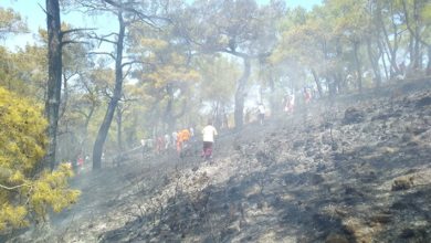 Kemer'de üç noktada çıkan yangınlar söndürüldü