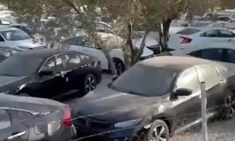 Stoklarda yok denılen yüzlerce Honda Civic’in bir tarlada bekletilmesi tepkiye neden oldu