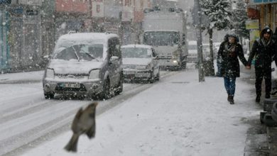 Kars ve Ardahan'da yılın ilk kar yağışı etkili oldu