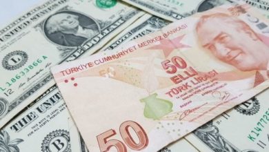 AKP'li Turan'dan döviz kuru açıklaması