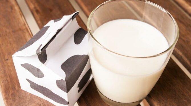 Aydın'da ücretsiz süt dağıtımı yapılacak