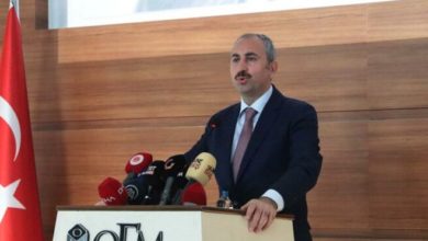 Bakan Gül'de 'ihtisas mahkemeleri' açıklaması