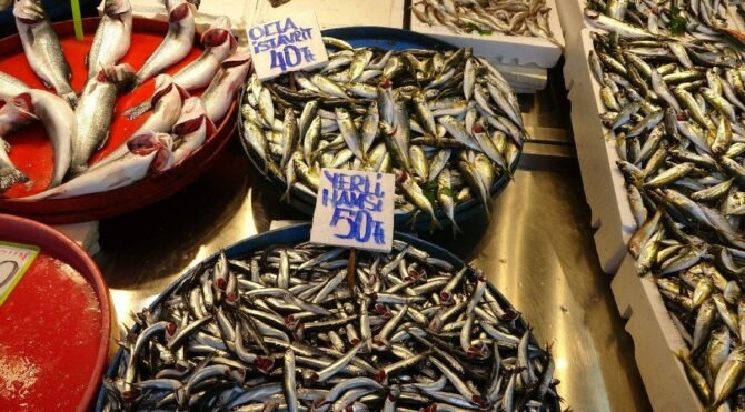 Balığın az olmasından dolayı sezonun en pahalı balığını satılıyor