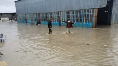 Edirne'deki selde mahsur kalan 52 kişi kurtarıldı