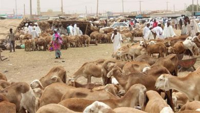 TİGEM'den Sudan'a yüz binlerce TL’lik maaş ve ikramiye ödendi