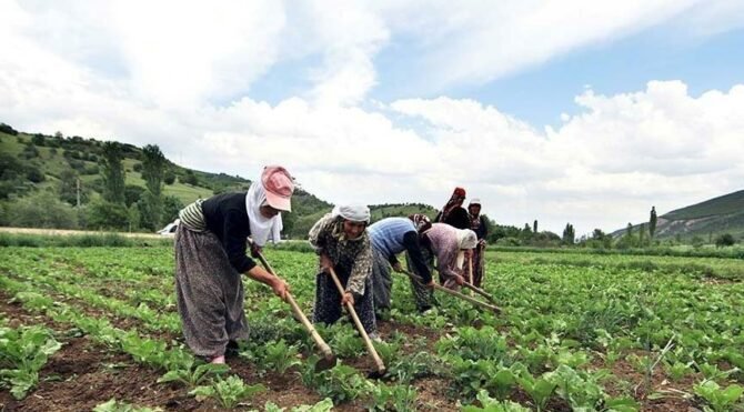 TYAB Başkanı Güler: Çiftçiye ölüm fermanını imzalattılar