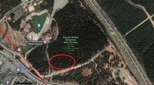 Beykoz'daki ormanlık alana spor tesisi yapılacak
