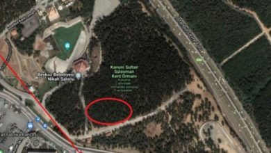Beykoz'daki ormanlık alana spor tesisi yapılacak
