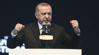 Cumhurbaşkanı Erdoğan, programını erteledi
