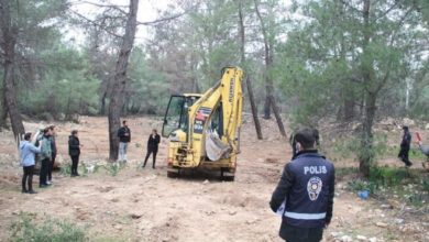 Hayvanseverler iş makinesiyle defin işlemine tepki gösterdi