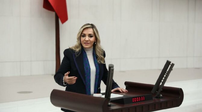 İYİ Parti'li Cesur: Her hamleniz bir yıkıma sebep oluyor