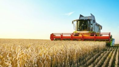 'Rekor kıran tarımsal girdi enflasyonu artmaya devam edecek'