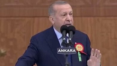 Sedef Kabaş'ın gözaltına alınmasından sonra Erdoğan'ın sözleri gündem oldu
