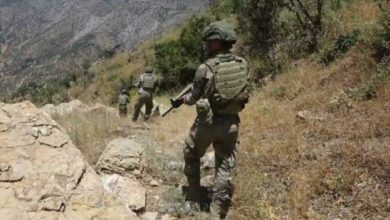 Suriye sınırında PKK'lı terörist yakalandı