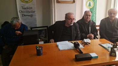 Bolu'da 38 bin hektarlık alanın turizm için ihaleye açılmasına tepki
